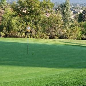 Meet your Posher, Minku